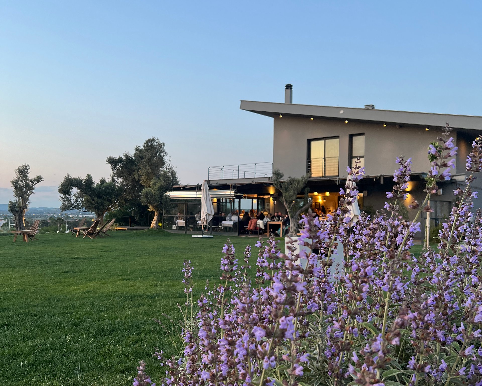 Hus Şarapcılık